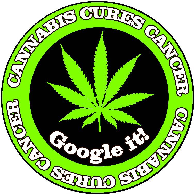 cannabis cure cancer